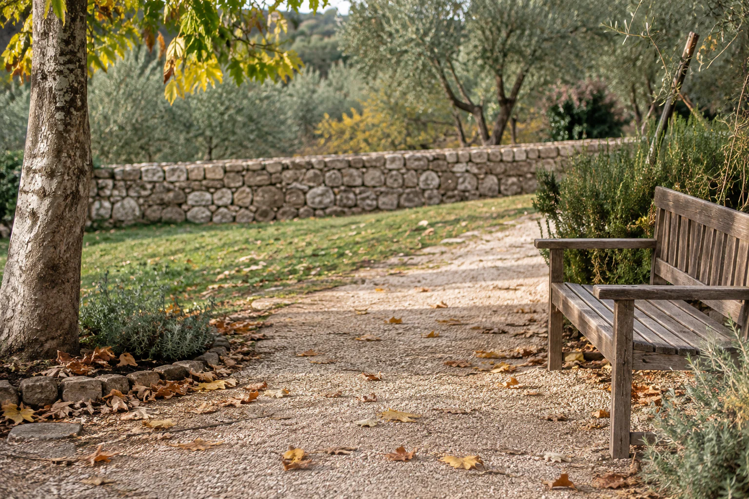 Banco de madera junto a un camino con hojas caídas en un jardín de otoño