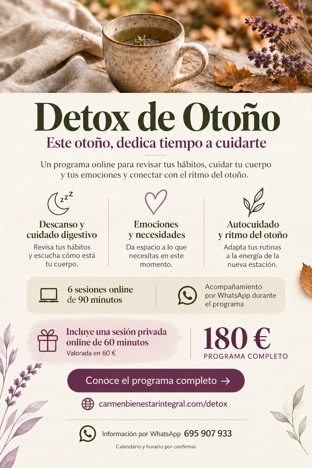 Cartel del programa Detox de Otoño: seis sesiones online, acompañamiento por WhatsApp, sesión privada online de regalo y precio total de 180 €
